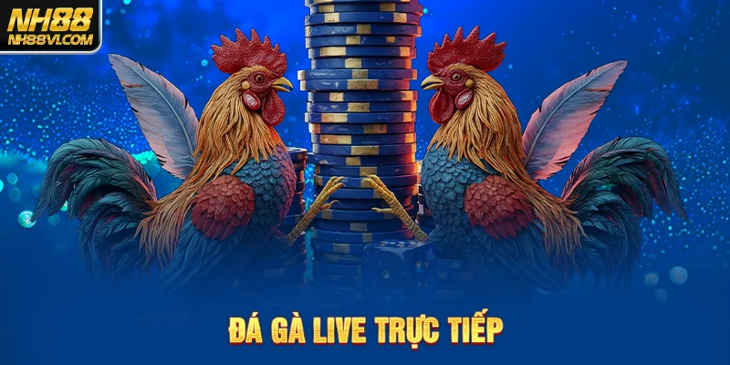Đá gà trực tiếp